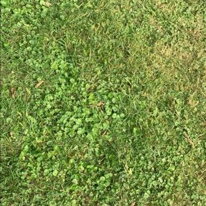 Meet your Posher, Phillip